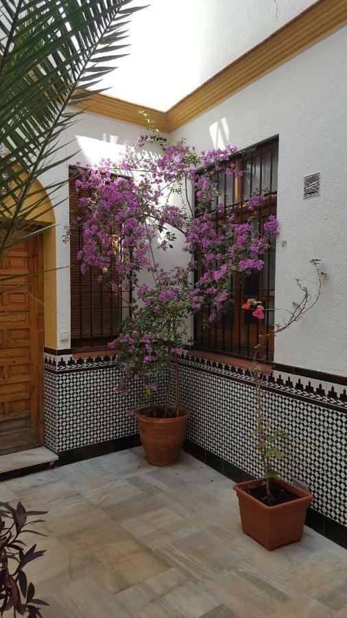 Casa Tipica Cordobesa Lejlighed Córdoba Eksteriør billede